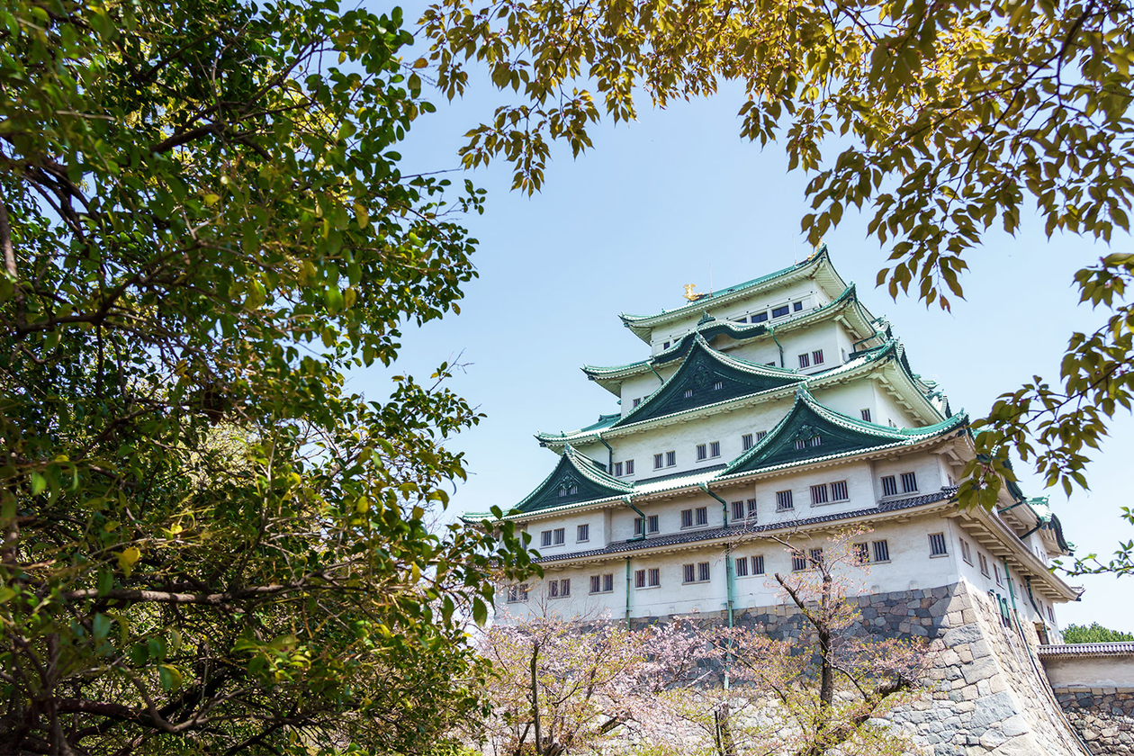 第三百四十六話 自分の背中の押し方を自分で学ぶ－【伝説のミュージシャン篇】フレディ・マーキュリー－