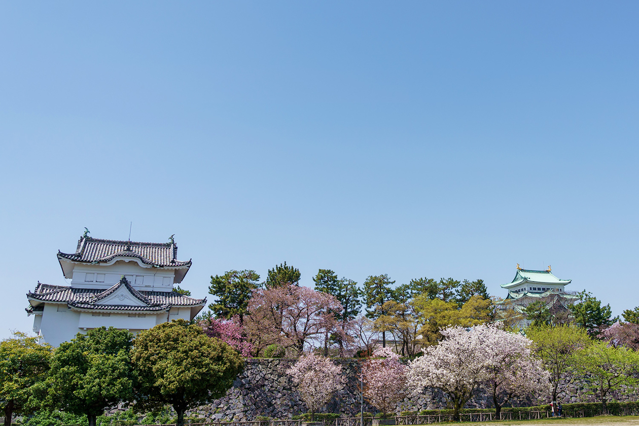 第三百四十六話 自分の背中の押し方を自分で学ぶ－【伝説のミュージシャン篇】フレディ・マーキュリー－