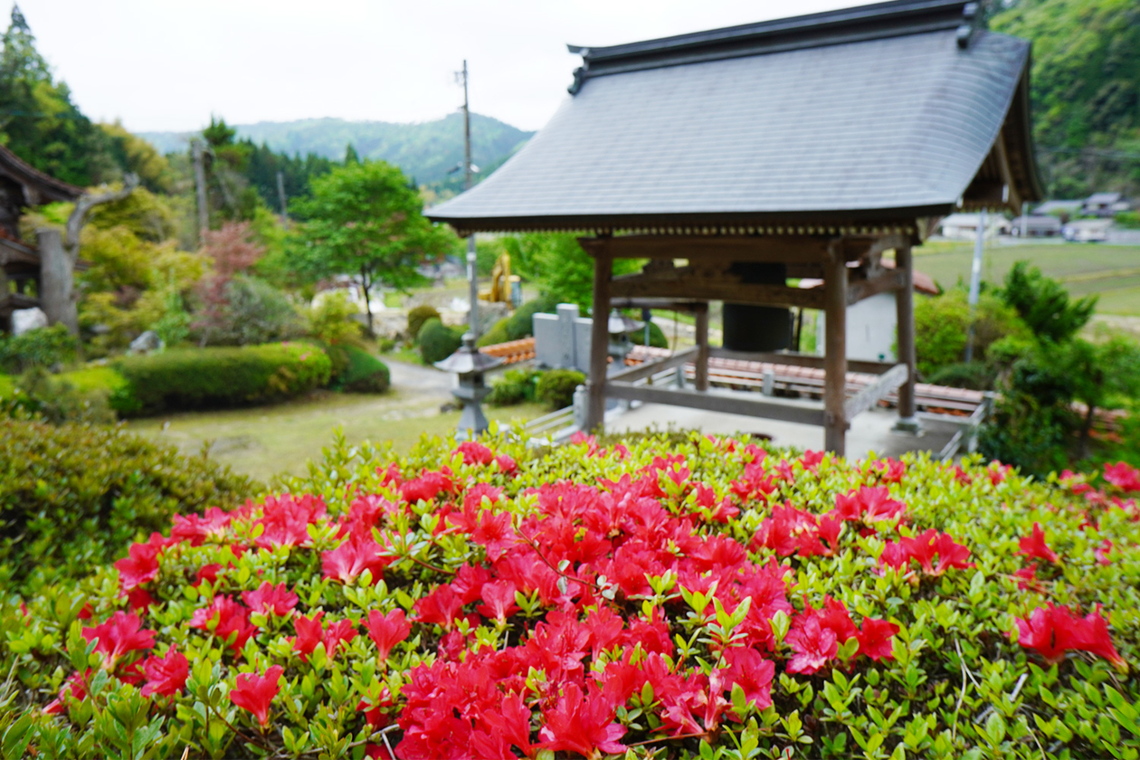 第三百四十九話 人生は落丁の多い本に似ている－【山口篇】小説家 芥川龍之介－