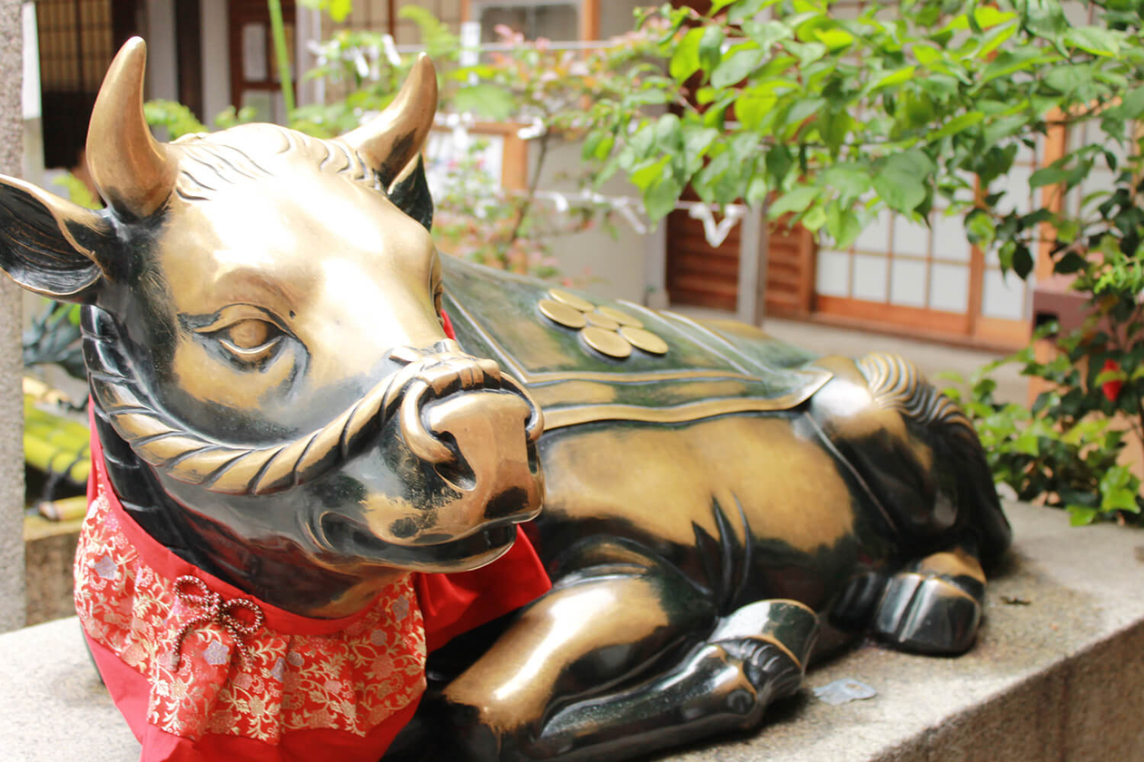 第三十八話 真似る、捨てる、遊ぶ－【京都篇】 画家 伊藤若冲－