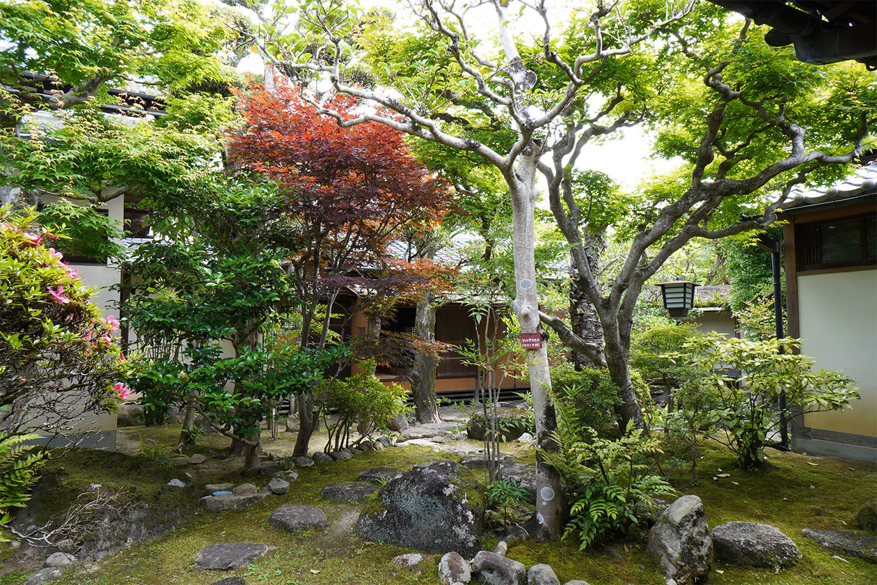 第三百五十三話 他人を敬う心を持つ－【奈良篇】作家 武者小路実篤－