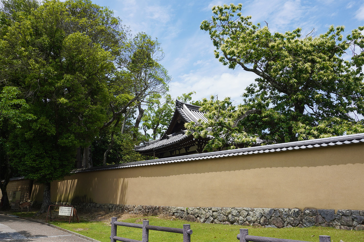 第三百五十三話 他人を敬う心を持つ－【奈良篇】作家 武者小路実篤－