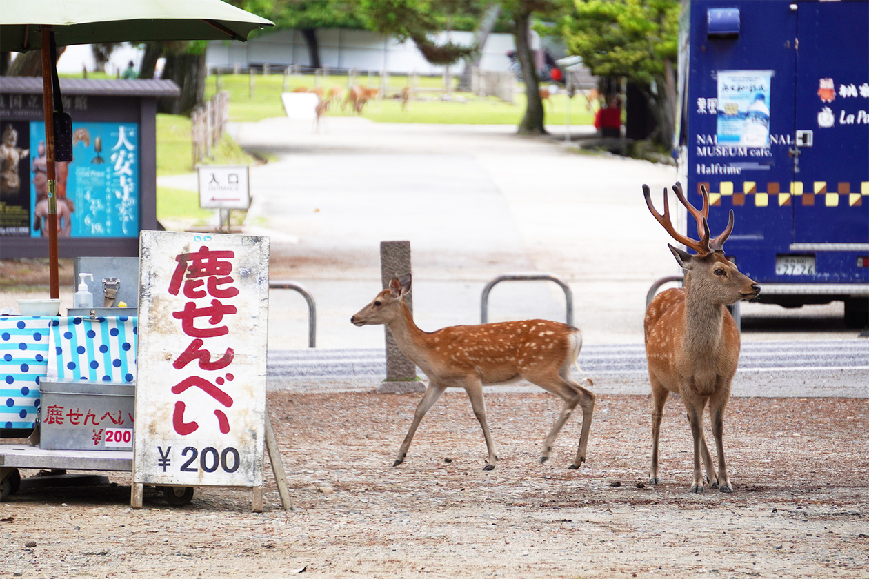 第三百五十四話 己の本分を守りぬく－【奈良篇】作曲家 セルゲイ・プロコフィエフ－