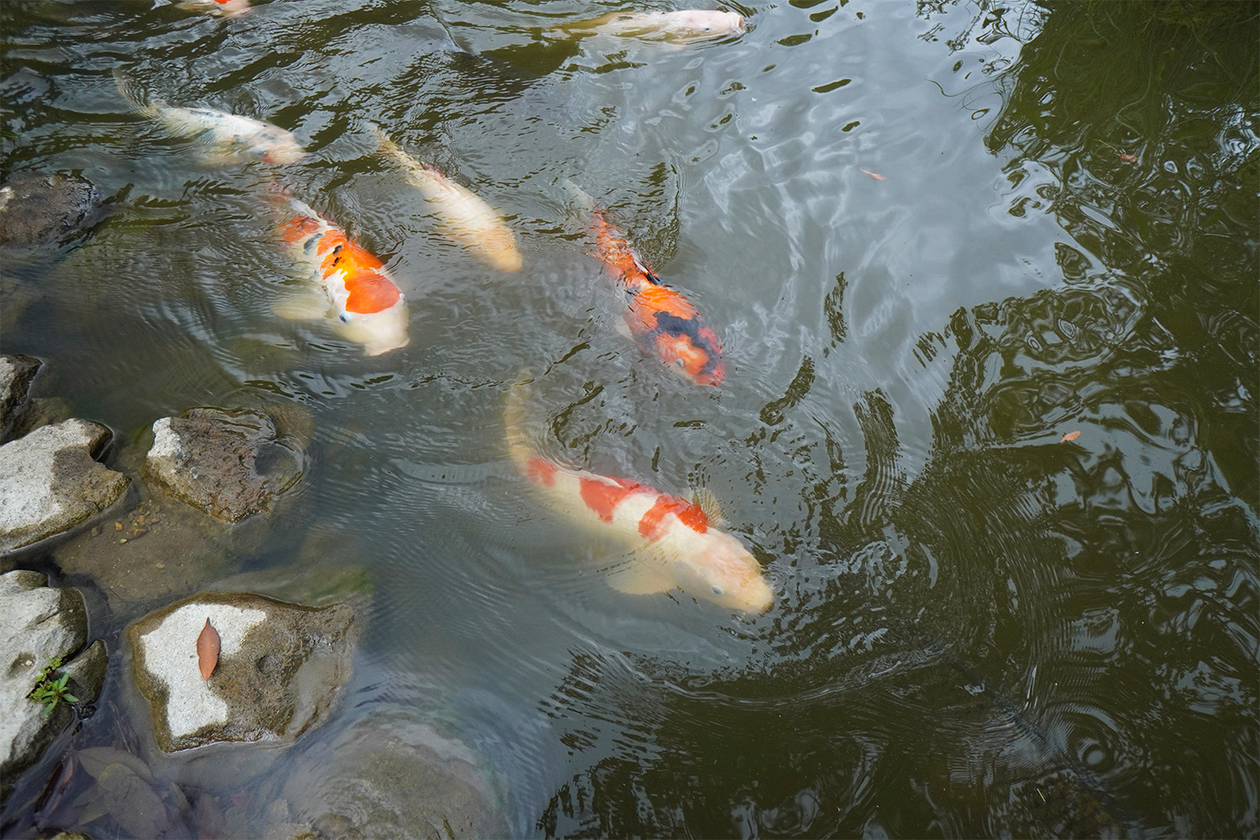 第三百五十四話 己の本分を守りぬく－【奈良篇】作曲家 セルゲイ・プロコフィエフ－