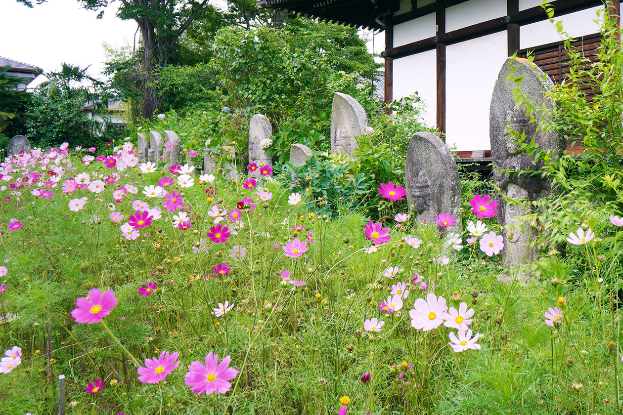第三百五十五話 心の右肩を上げて歩く－【奈良篇】映画監督 溝口健二－