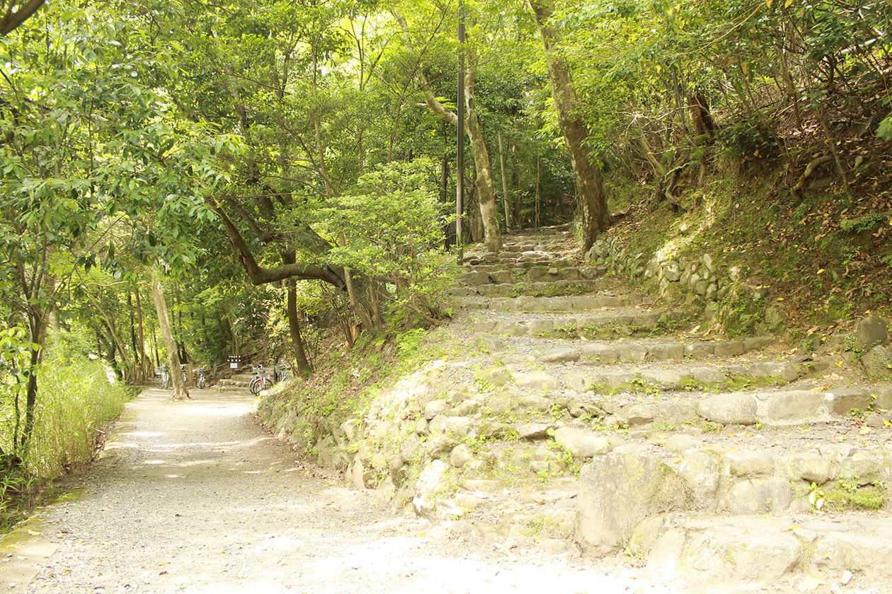 第三十九話 満身の力をこめて－【京都篇】 作家 夏目漱石－