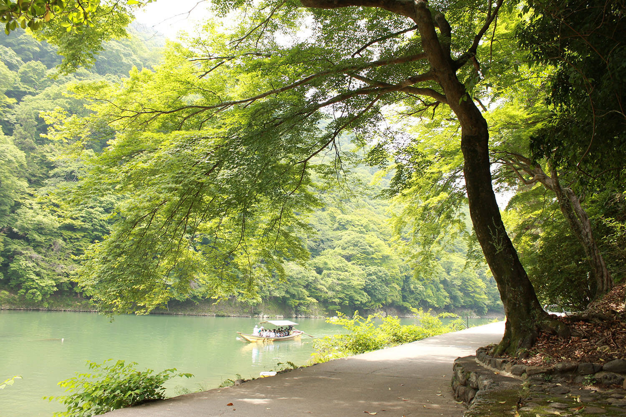 第三十九話 満身の力をこめて－【京都篇】 作家 夏目漱石－