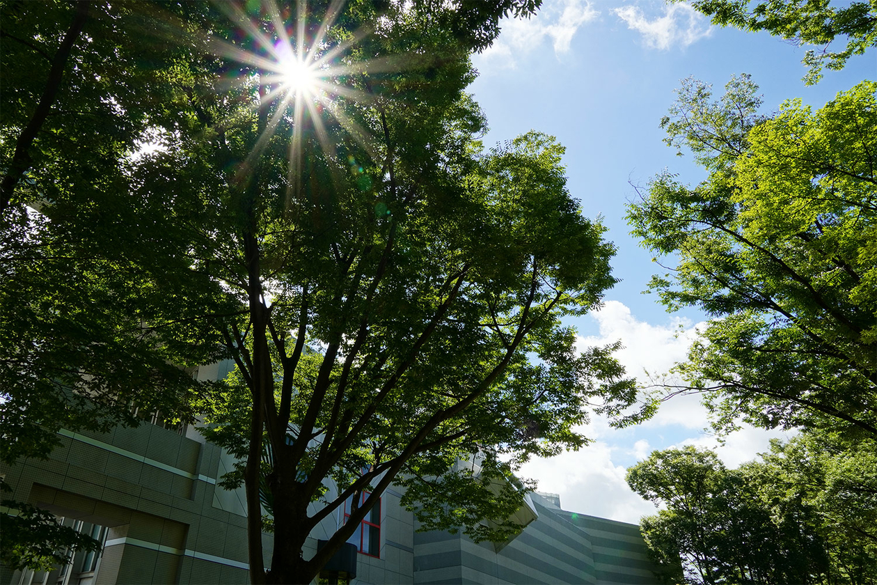 第三百六十二話 痛みに向き合う－【愛知篇】画家 フリーダ・カーロ－