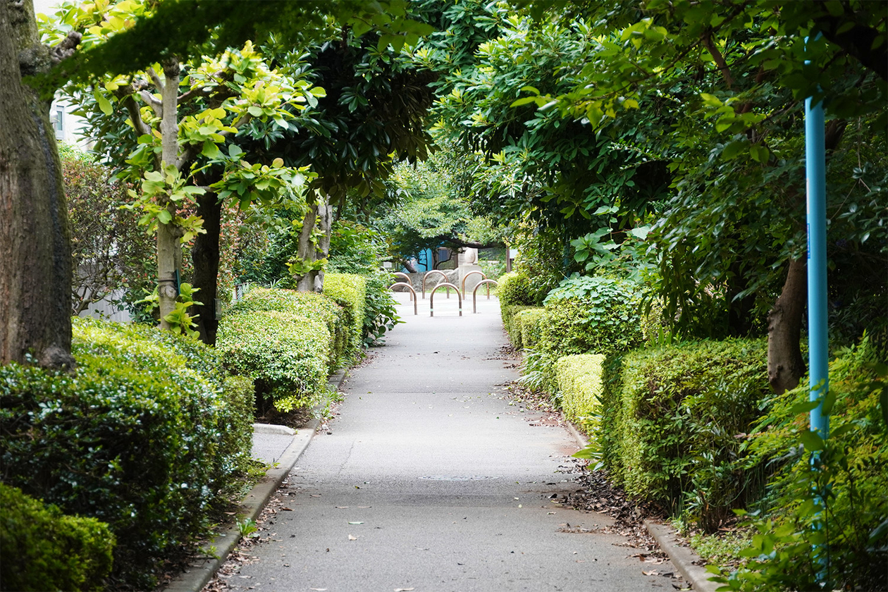 第三百六十三話 楽しむことを忘れない－【愛知篇】物理学者 小柴昌俊－
