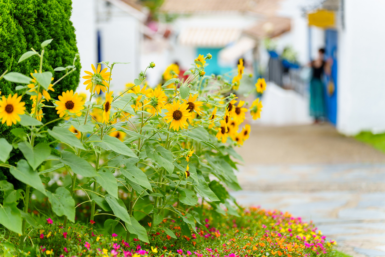 第三百六十七話 明日はもっといいものをつくろう－【メモリアルイヤー篇】建築家 アントニ・ガウディ－