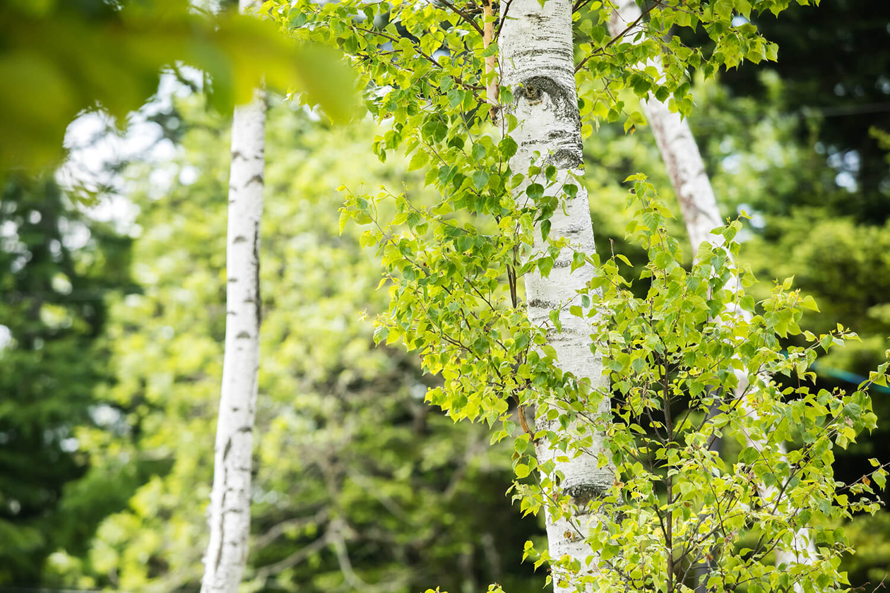 第四十一話 弱さは優しさ－【軽井沢篇】 作家 遠藤周作－
