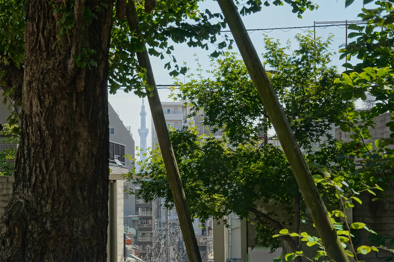 第三百七十話 虚しさから逃げない－【日本の文豪篇】森鷗外－