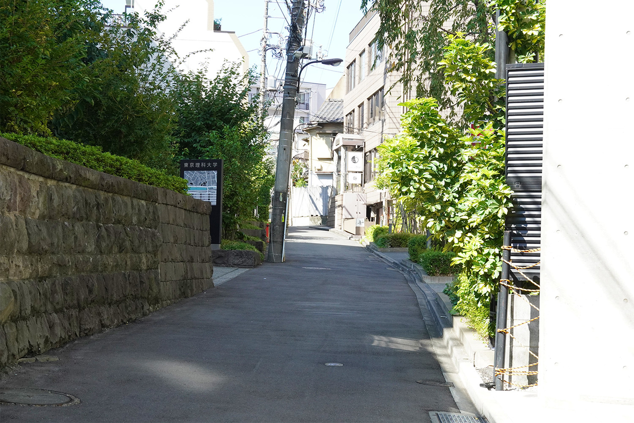 第三百七十二話 純粋さを失わない－【日本の文豪篇】泉鏡花－