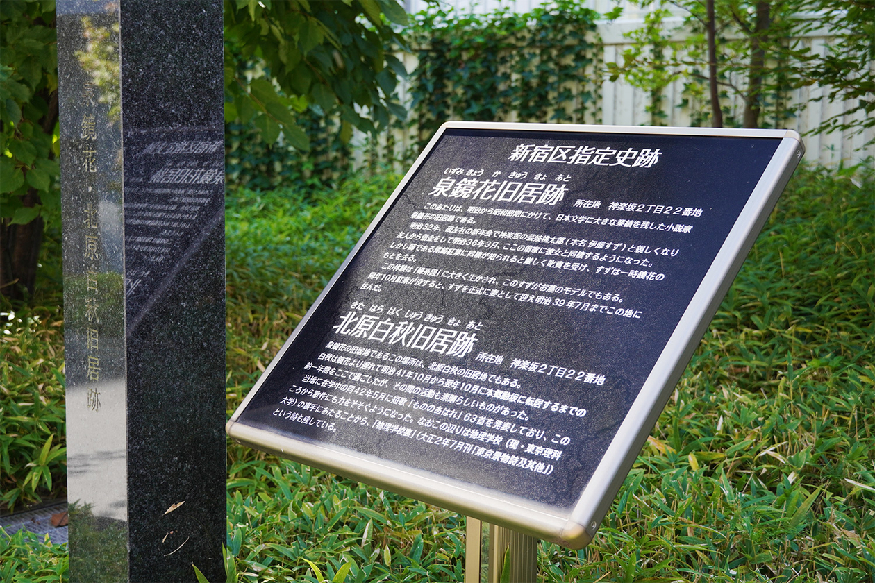 第三百七十二話 純粋さを失わない－【日本の文豪篇】泉鏡花－