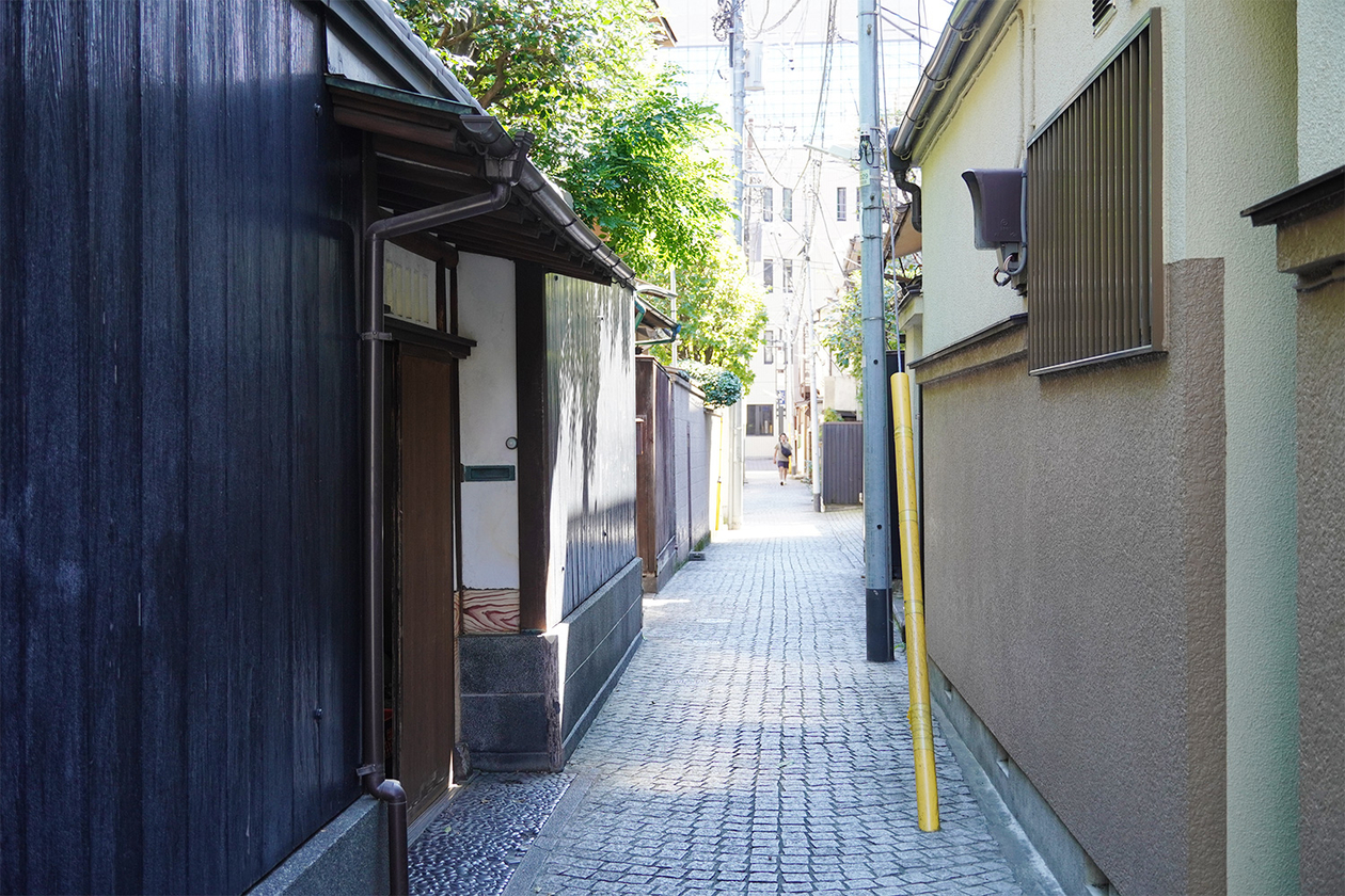 第三百七十二話 純粋さを失わない－【日本の文豪篇】泉鏡花－