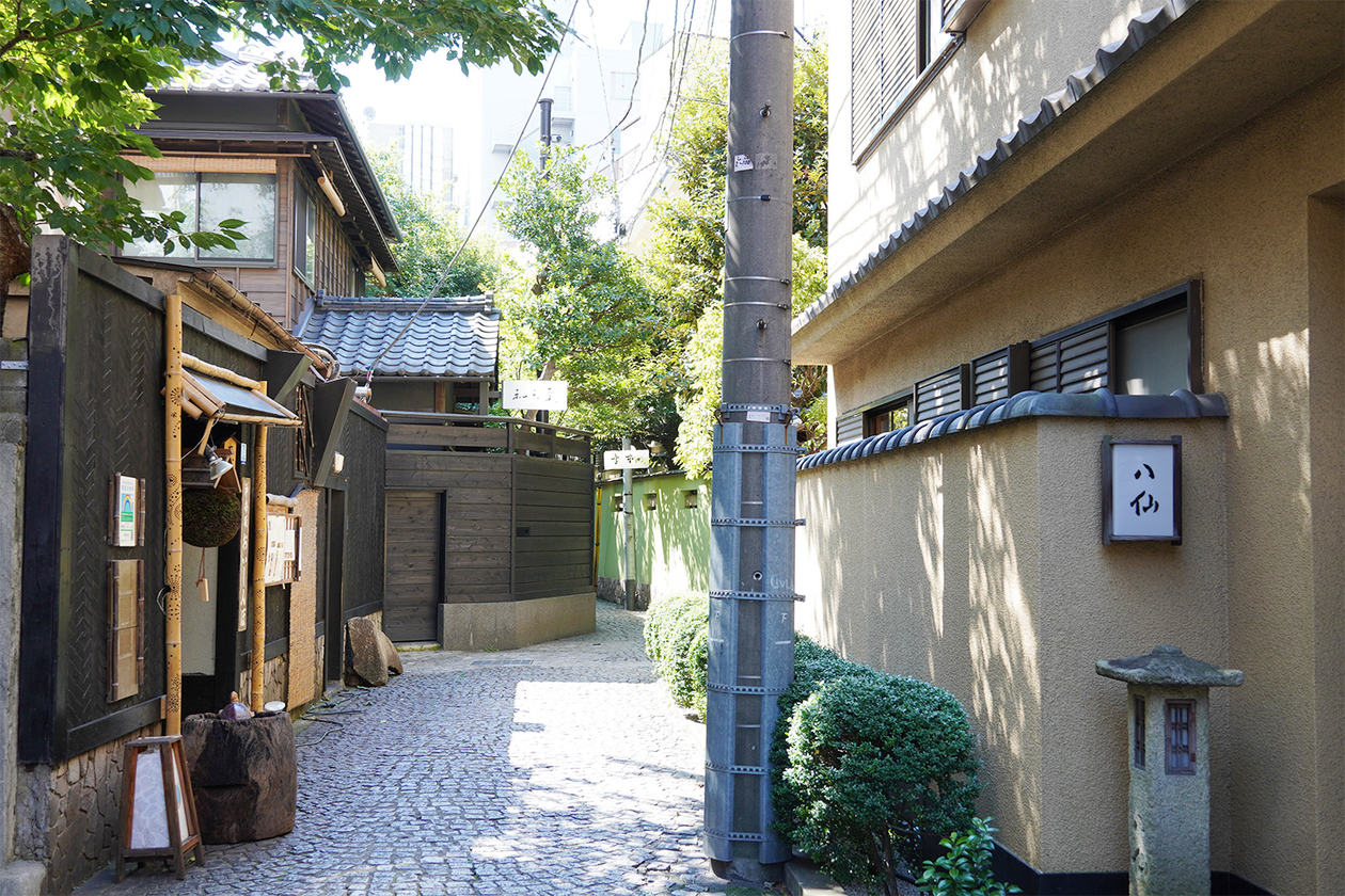 第三百七十二話 純粋さを失わない－【日本の文豪篇】泉鏡花－