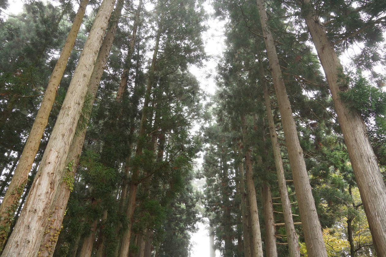 第三百七十五話 とことん好きになる－【秋田篇】映画監督 黒澤明－