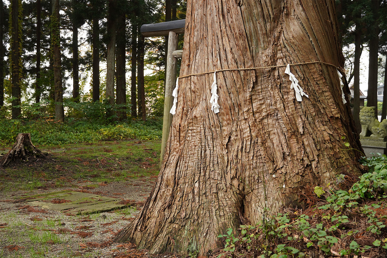 第三百七十五話 とことん好きになる－【秋田篇】映画監督 黒澤明－