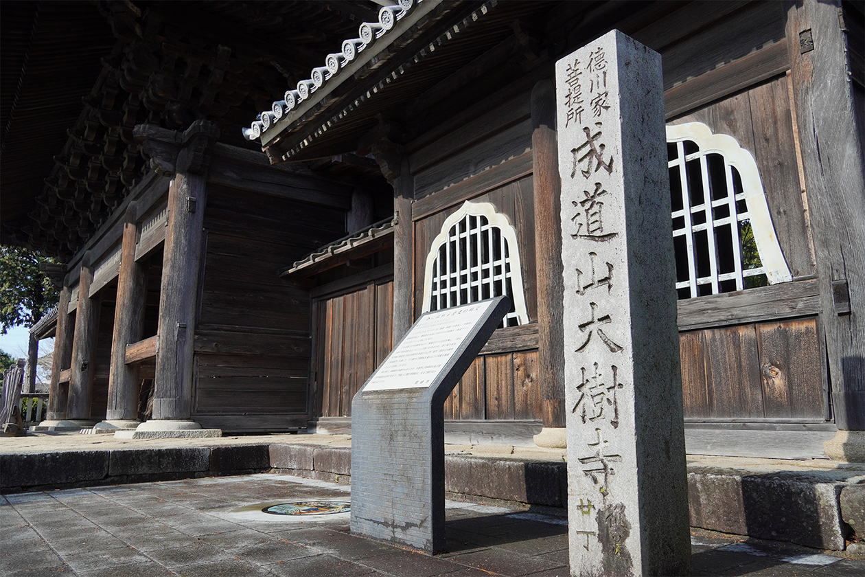 第三百八十二話 負けることを知りて、勝つ－【愛知篇】徳川家康－