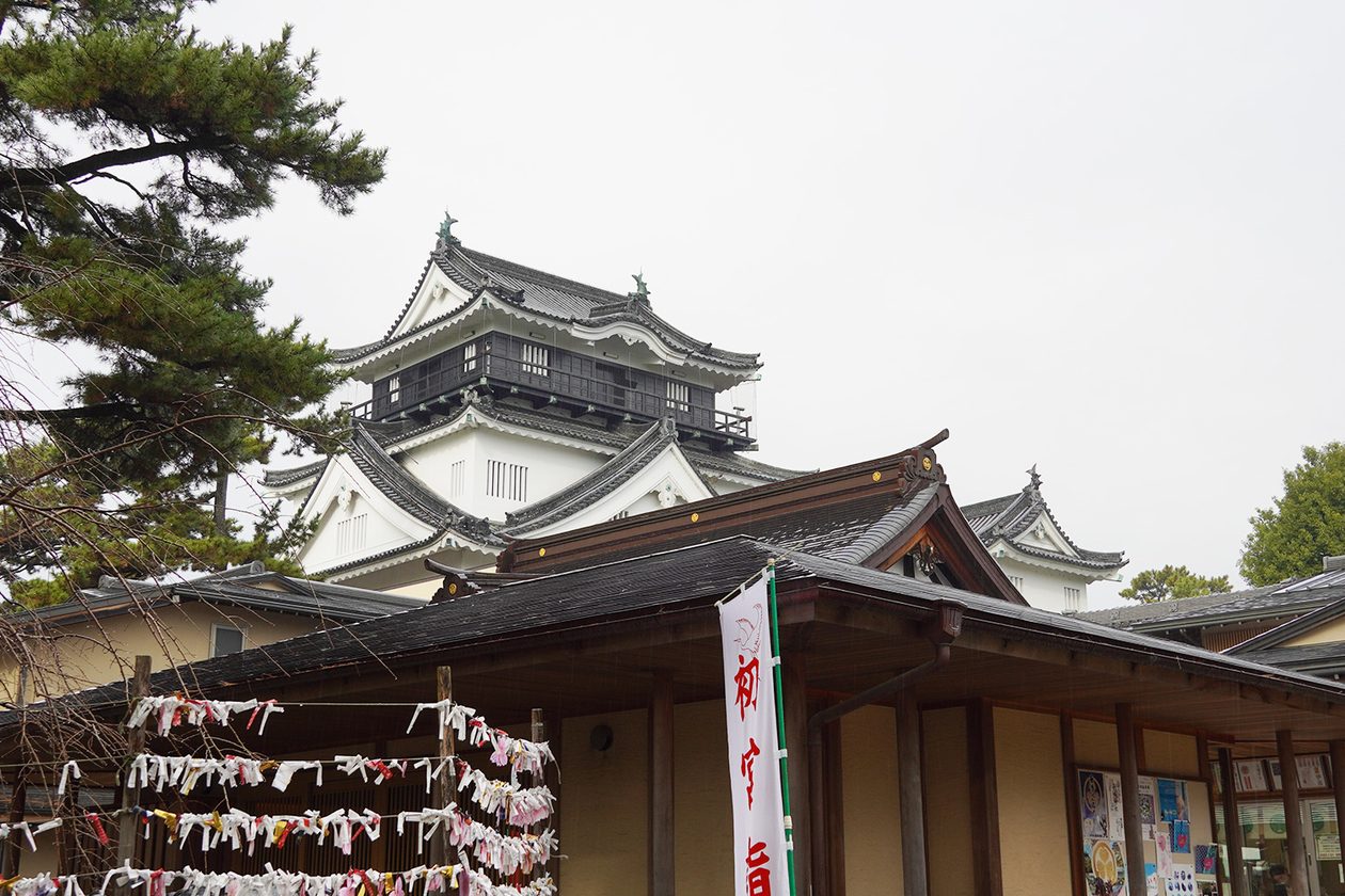 第三百八十二話 負けることを知りて、勝つ－【愛知篇】徳川家康－