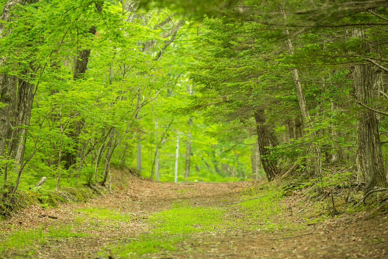 第四十三話 自分の第一義を知る－【軽井沢篇】 劇作家 岸田國士－
