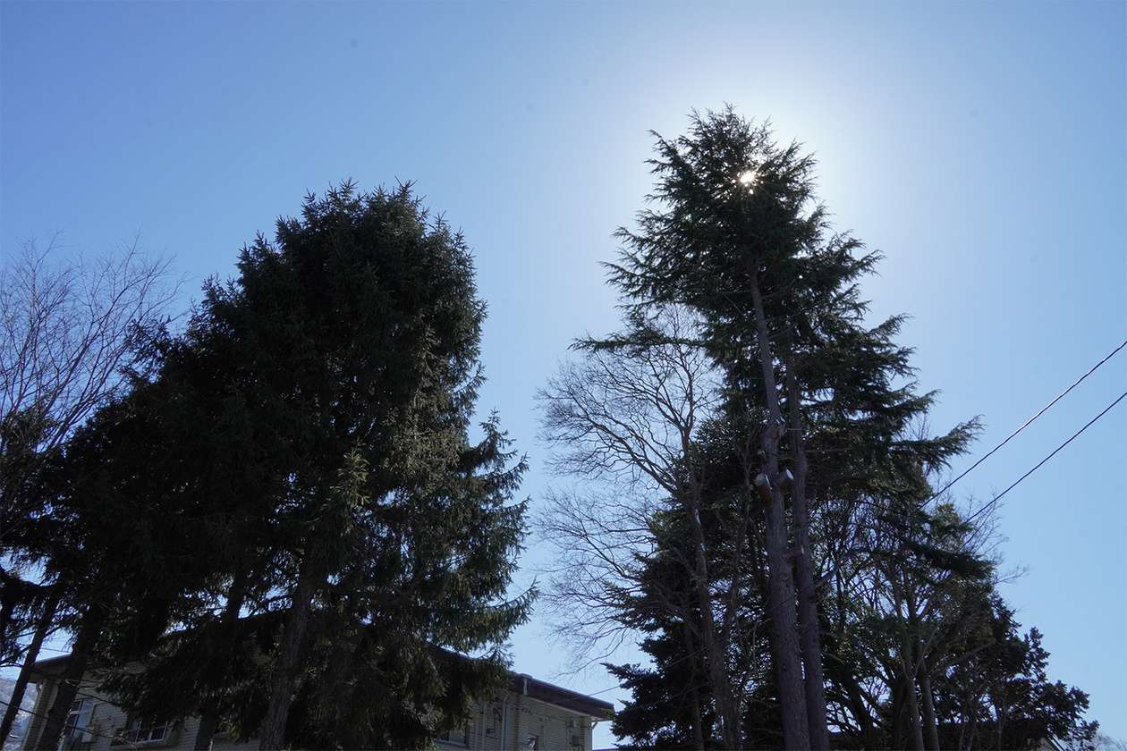 第三百九十二話 弱くて、いい－【福島篇】イラストレーター 長沢節－