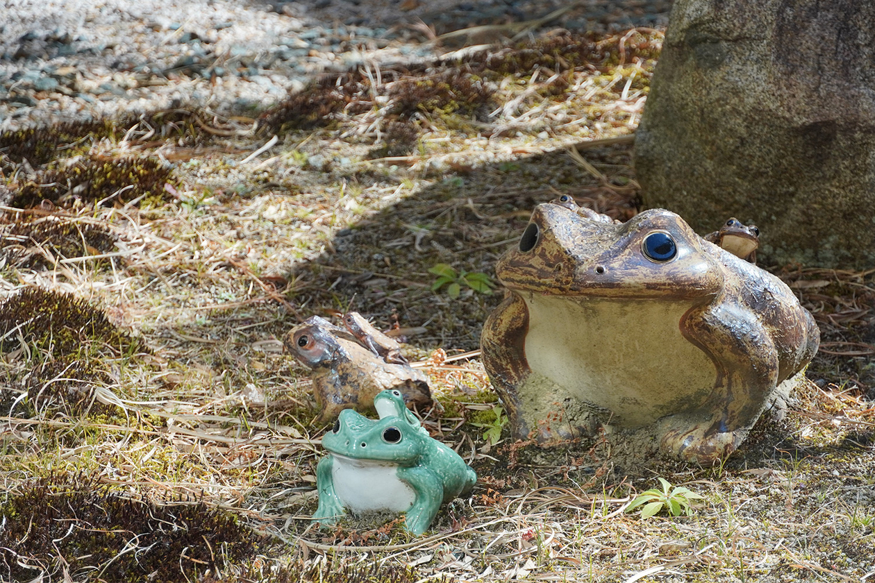 第三百九十三話 すべてのものと共に生きる－【福島篇】詩人 草野心平－