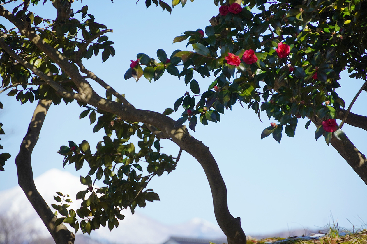 第三百九十四話 「どのように」ではなく「なぜ」を大切にする－【福島篇】東京帝国大学総長 山川健次郎－