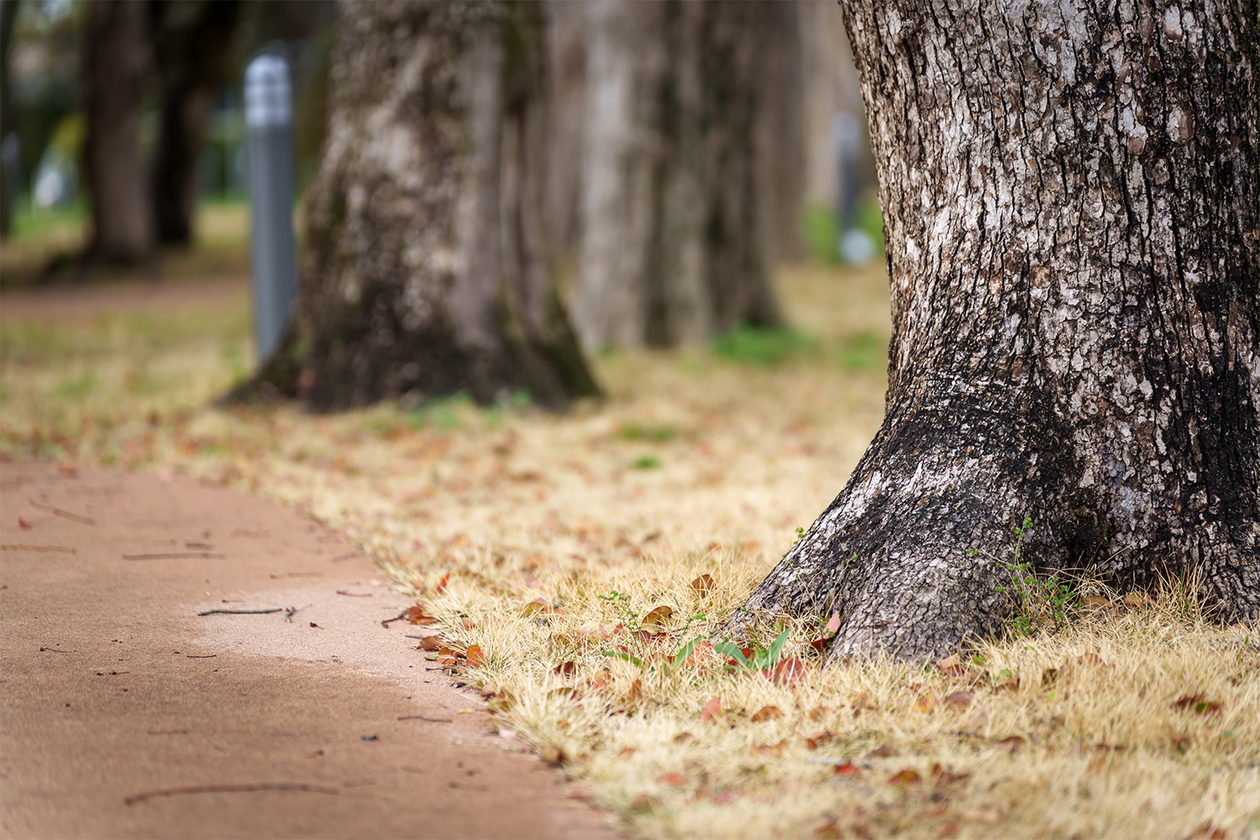 第三百九十六話 常に挑戦する心を忘れない－【音楽家のレジェンド篇】エンニオ・モリコーネ－