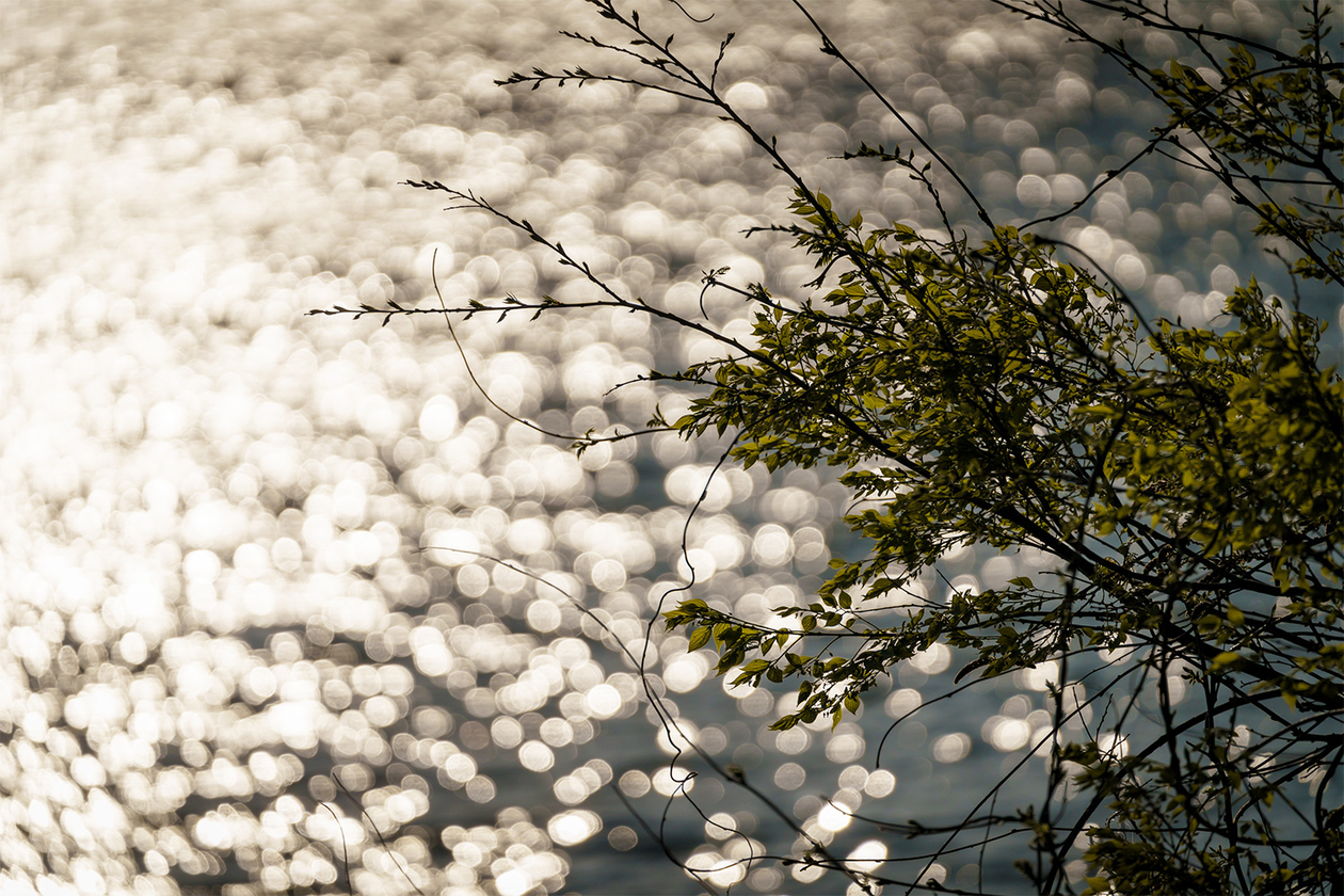 第三百九十八話 苦悩を突き抜け、歓喜に至る－【音楽家のレジェンド篇】ルートヴィヒ・ヴァン・ベートーヴェン－