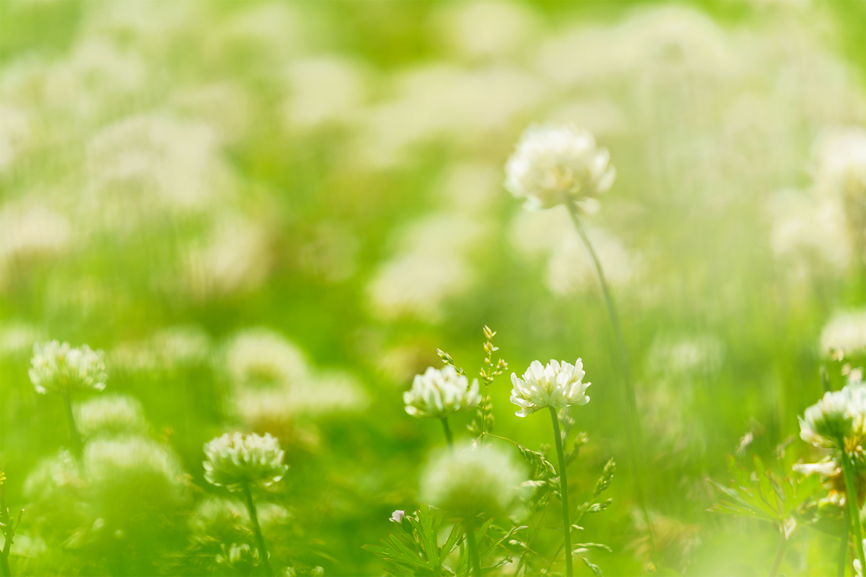 第四百話 直感を信じる－【音楽家のレジェンド篇】ジョージ・ガーシュウィン－