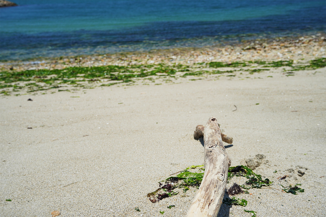 第四百三話 ピンチでチャンスを拾う－【今年周年のレジェンド篇】ポール・ゴーガン－