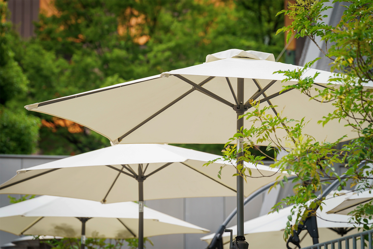 第四百六話 信念を貫く－【今年周年のレジェンド篇】オードリー・ヘプバーン－