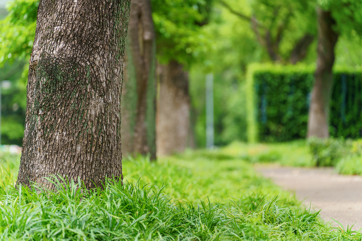 第四百六話 信念を貫く－【今年周年のレジェンド篇】オードリー・ヘプバーン－