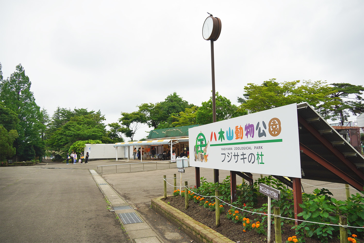 第四百七話 できない、と言わない－【今年周年のレジェンド篇】ベーブ・ルース－