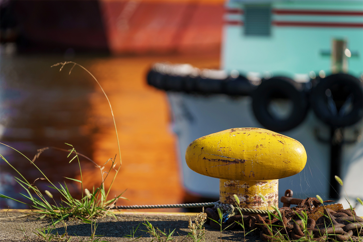 第四百八話 理不尽に立ち向かう－【今年周年のレジェンド篇】アルベール・カミュ－