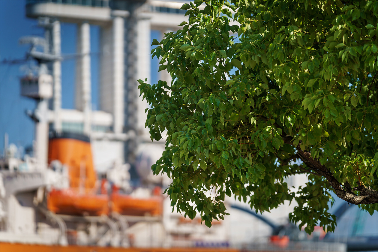 第四百八話 理不尽に立ち向かう－【今年周年のレジェンド篇】アルベール・カミュ－