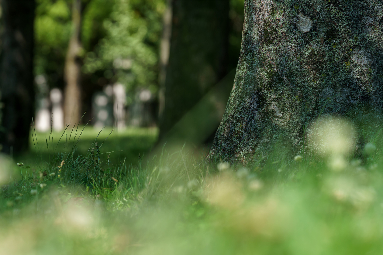 第四百八話 理不尽に立ち向かう－【今年周年のレジェンド篇】アルベール・カミュ－