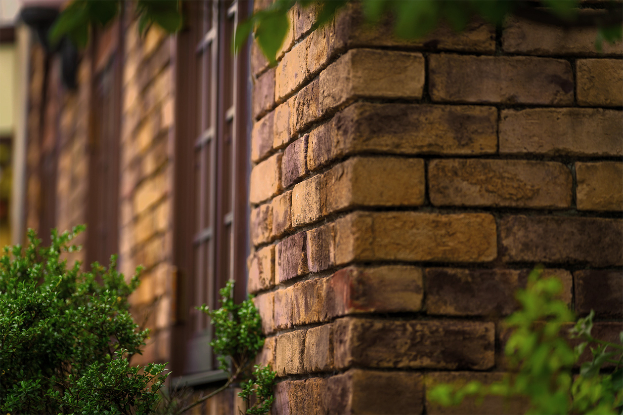 第四百八話 理不尽に立ち向かう－【今年周年のレジェンド篇】アルベール・カミュ－