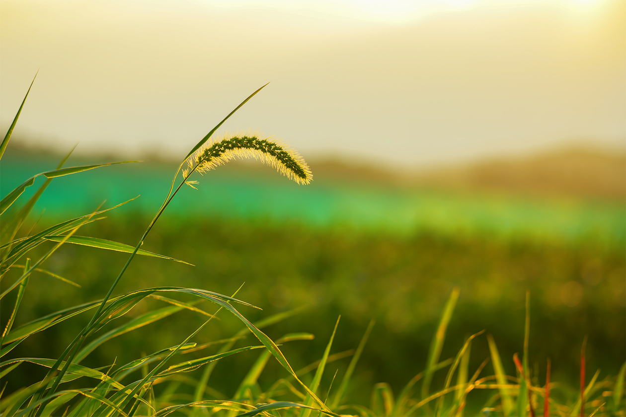 第四百九話 自分が生まれてきた意味を知る－【医学の発展に貢献したレジェンド篇】フローレンス・ナイチンゲール－