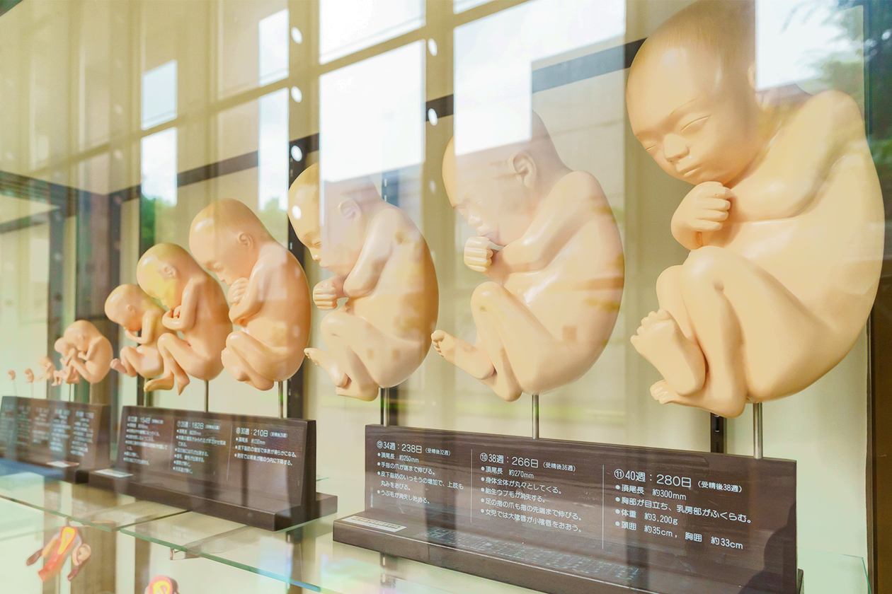 第四百九話 自分が生まれてきた意味を知る－【医学の発展に貢献したレジェンド篇】フローレンス・ナイチンゲール－