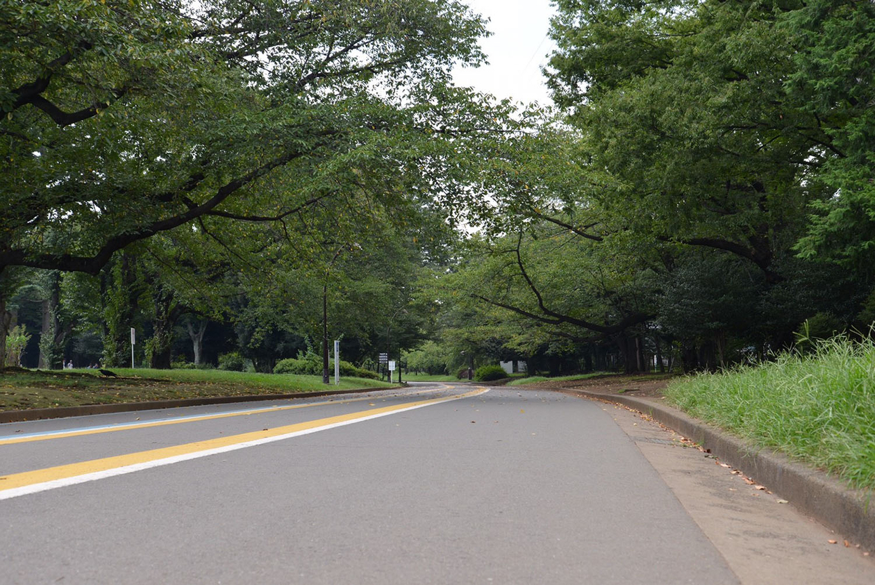 第五十四話 太陽を追いかける－【東京篇】 映画監督 市川崑－