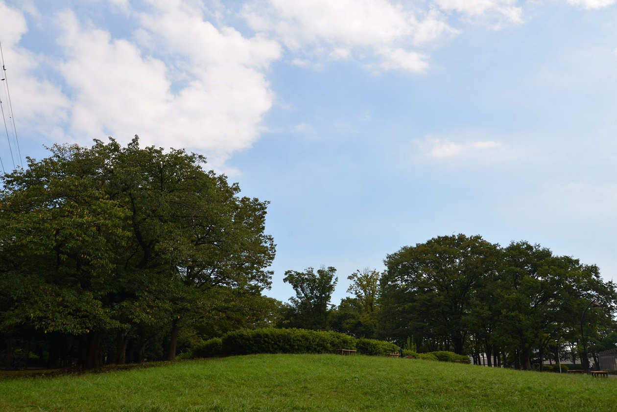 第五十四話 太陽を追いかける－【東京篇】 映画監督 市川崑－