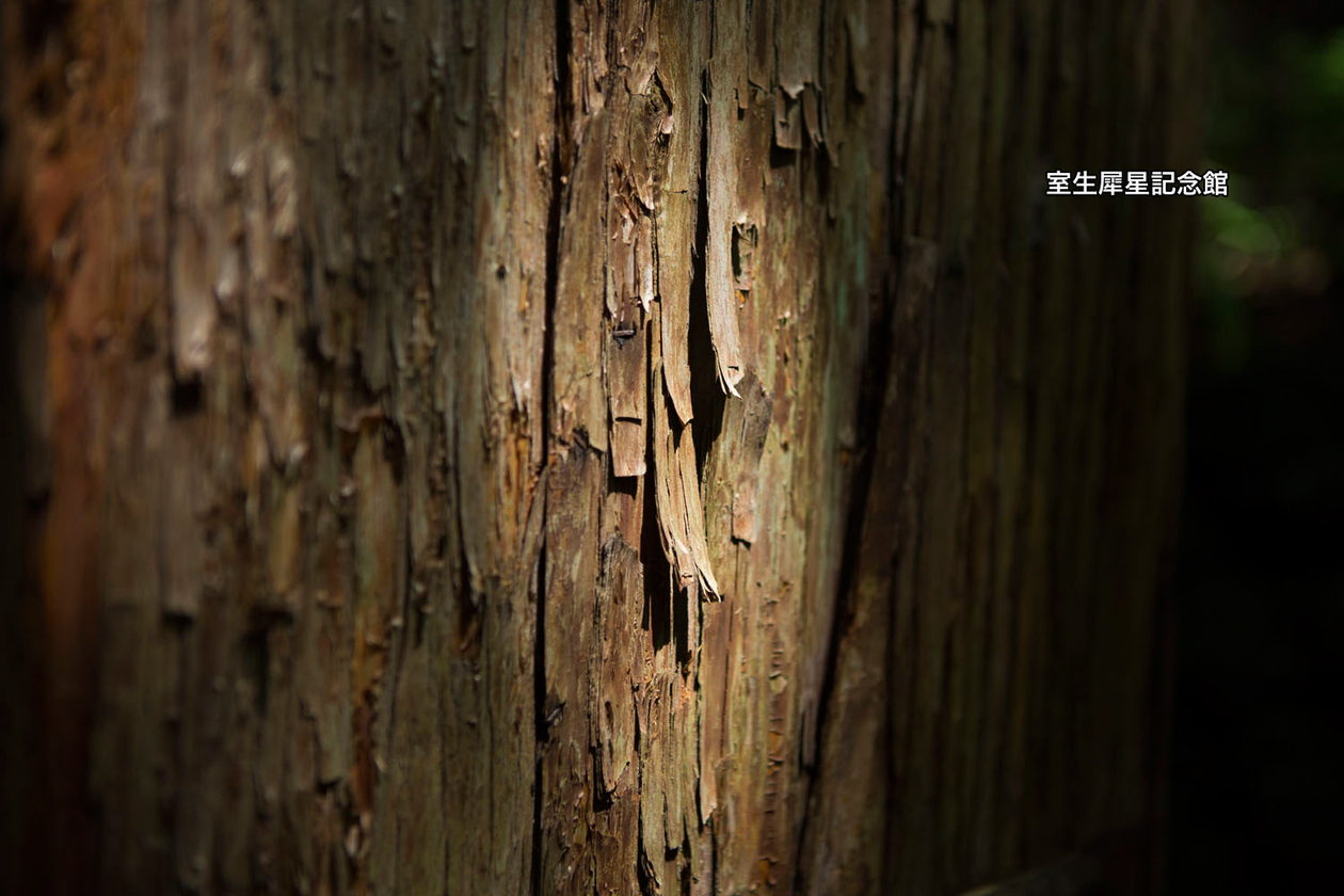 第四話 　心の庭　　　　　　－詩人･小説家 室生犀星－