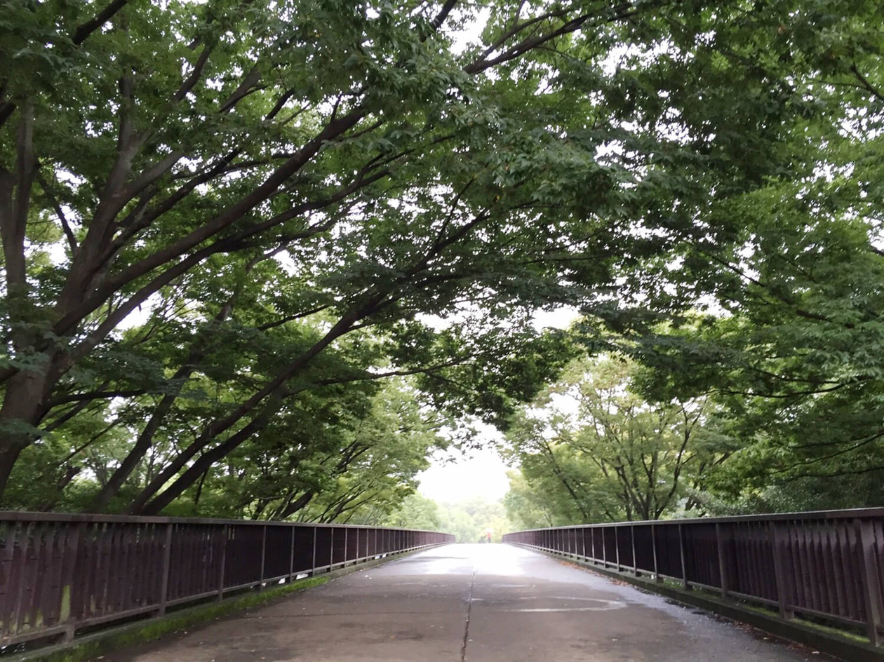 第五十六話 構想力を持つということ－【東京篇】 建築家 丹下健三－