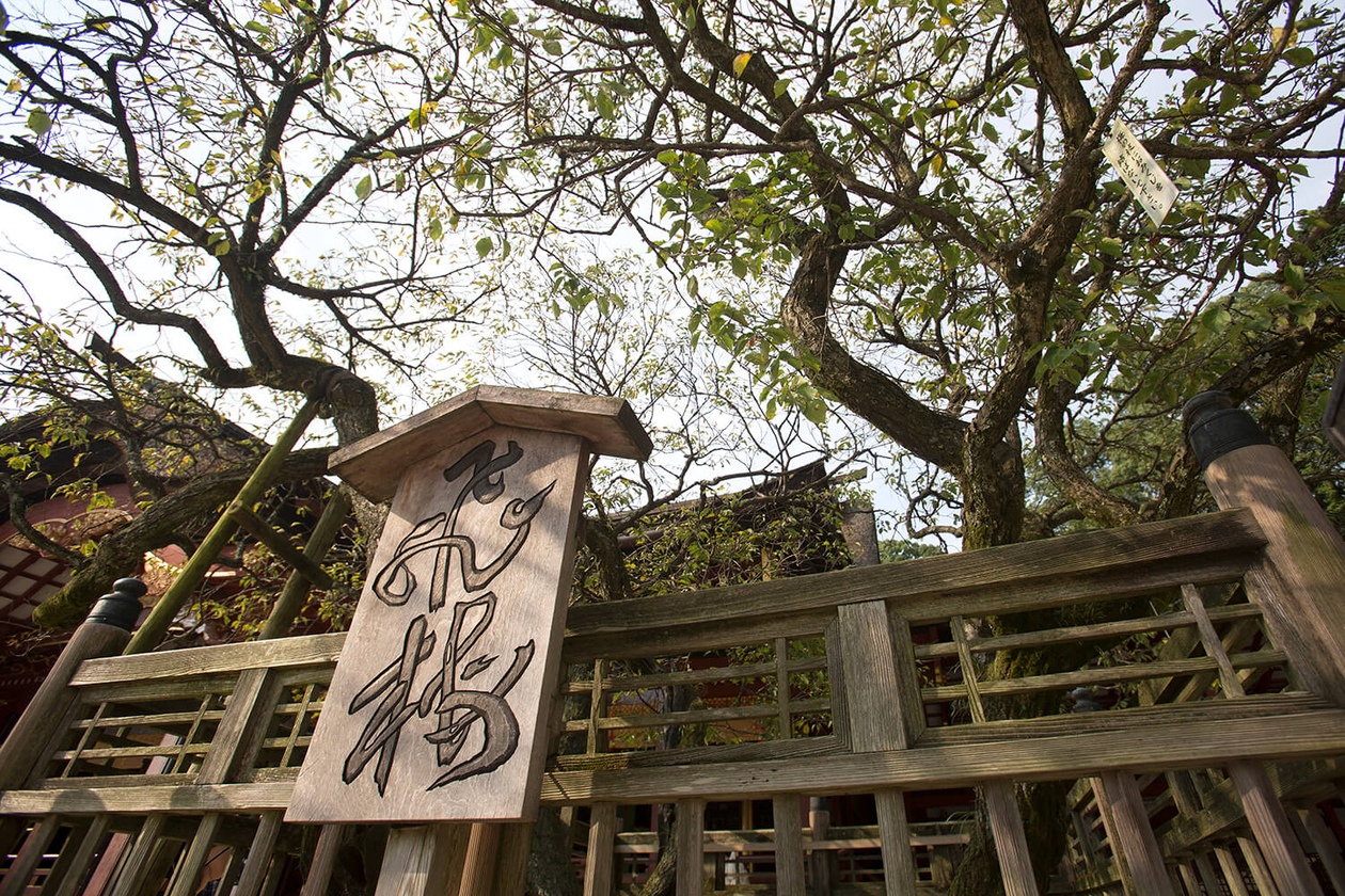 第五十七話 置かれた場所で生き抜く－【福岡篇】 菅原道真－