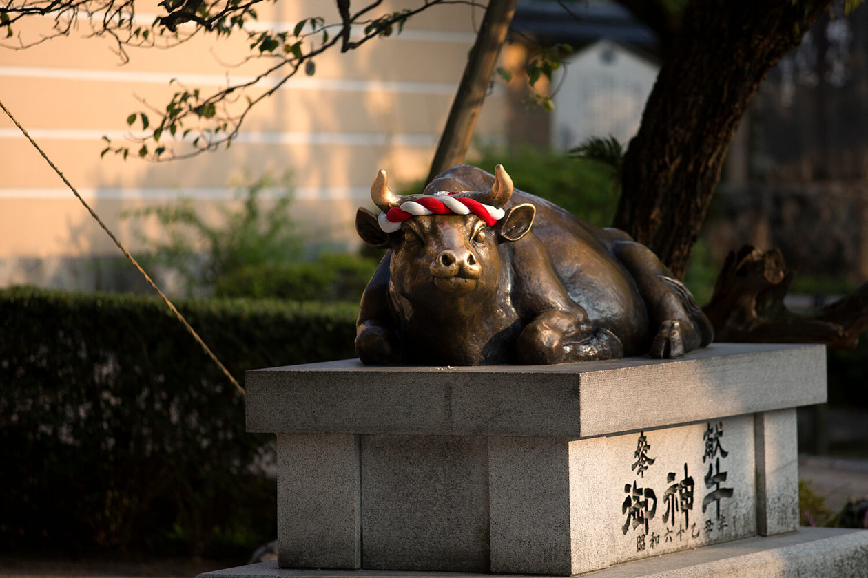 第五十七話 置かれた場所で生き抜く | yes！～明日への便り～presented