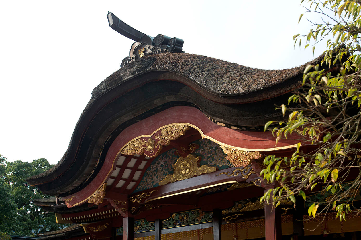 第五十七話 置かれた場所で生き抜く | yes！～明日への便り～presented