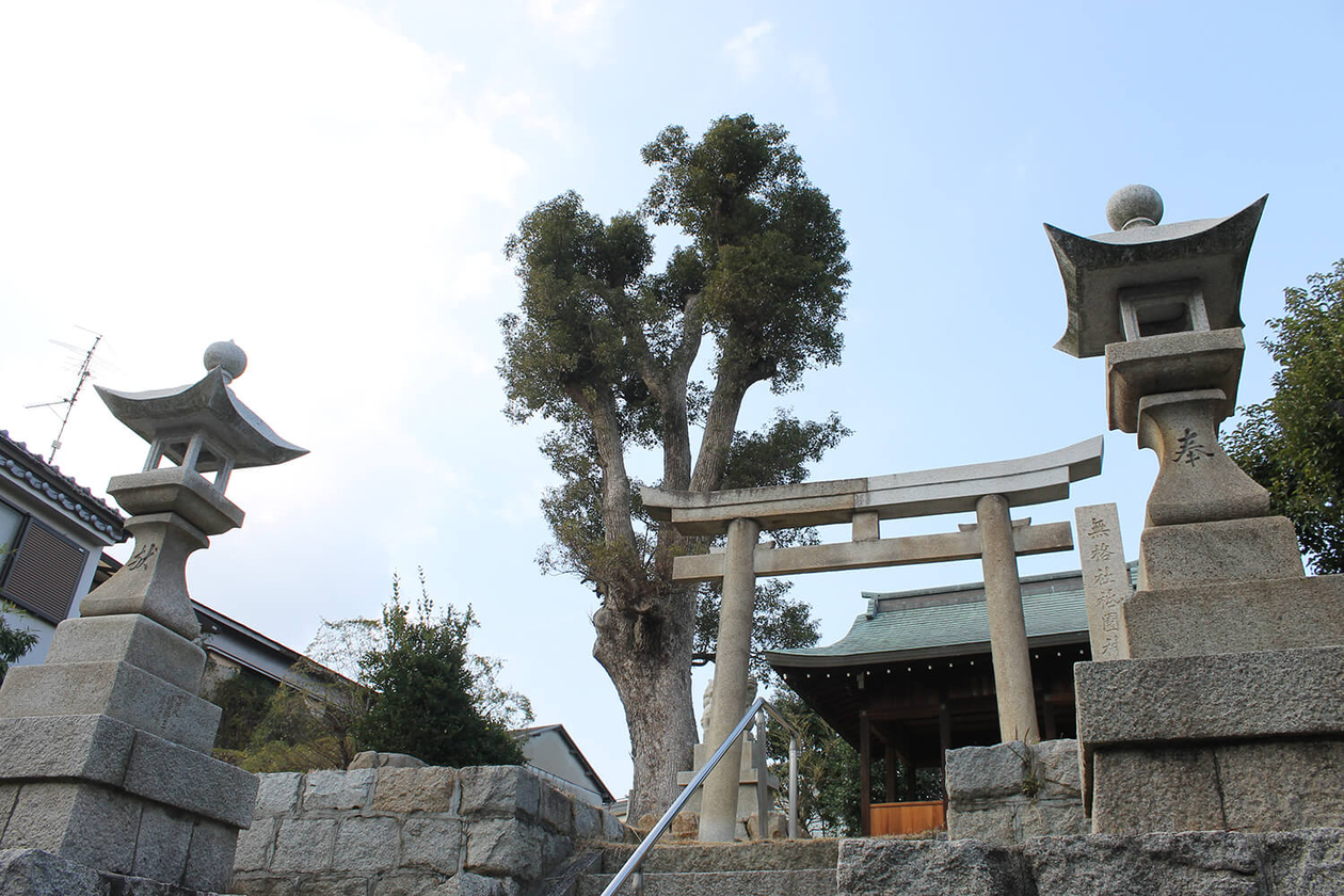 第七十一話 影を知って光を愛する－【神戸篇】 映画評論家 淀川長治－