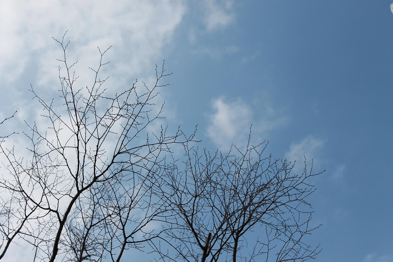 第七十一話 影を知って光を愛する－【神戸篇】 映画評論家 淀川長治－